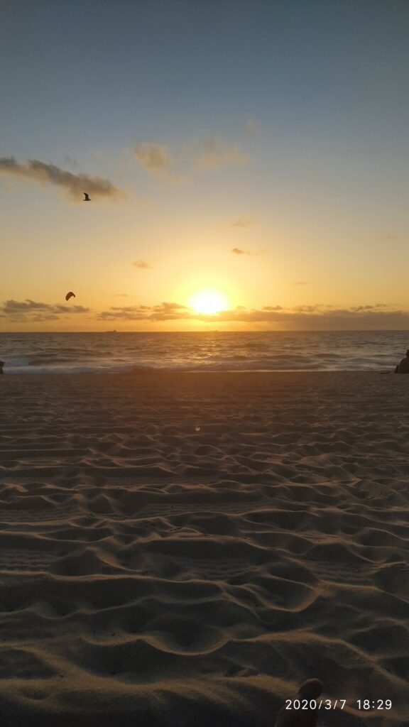 coucher de soleil sur la plage avec des oiseaux qui volent